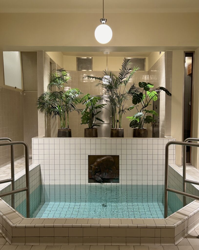 Spa kaldkulp