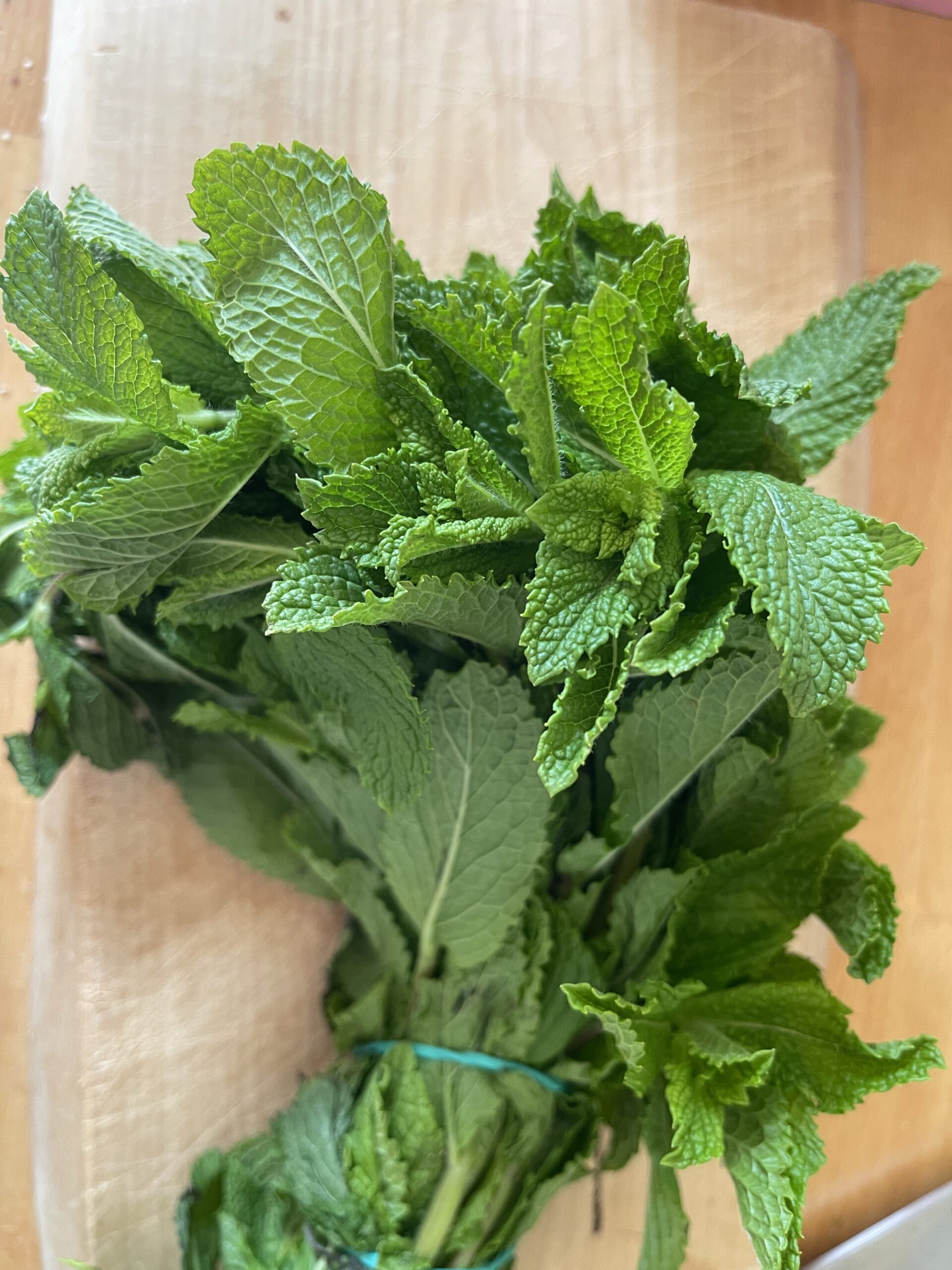 Wellness i vinter. En bunt med fersk mynte på et trebrett.